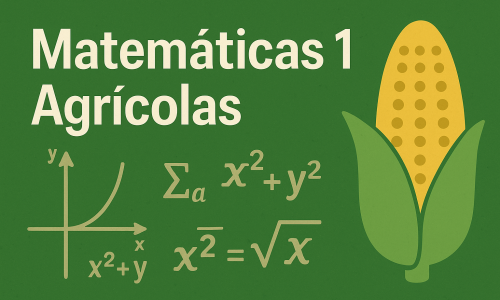 miniatura del curso